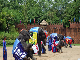 親子出遊首選！曼谷三攀營地承包全家的歡樂時光