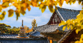 釜山出發慶州一日遊｜預訂前必睇！避坑+選品全攻略✨