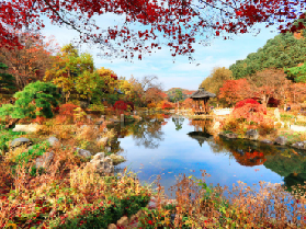 首爾近郊必玩！南怡島 6 大黃金組合一日遊全攻略：韓流、童話、自然一次解鎖