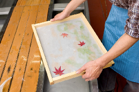 日本賞楓新體驗：尋訪秋季小原四季櫻與百年和紙工藝