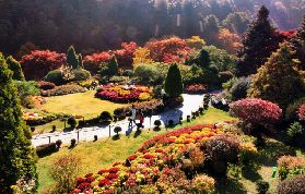 南怡島 + 晨靜樹木園一日遊全攻略：解鎖韓流浪漫與自然治愈的雙重體驗