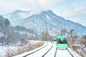 冬季南怡島一日遊終極攻略：赴一場雪與韓流的浪漫之約