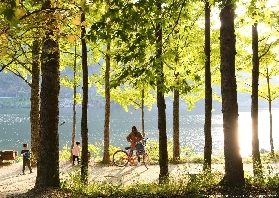 首爾往返直達！解鎖南怡島高空飛索與四季美景的無憂之旅