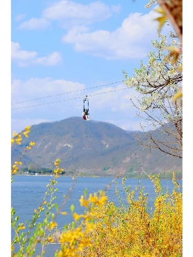 南怡島高空飛索：首爾近郊必玩的高空冒險盛宴
