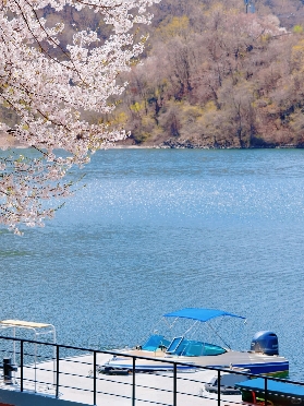 南怡島登島雙選：高空飛索 VS 渡輪船班 核心對比