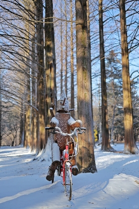 首爾近郊一日遊私藏路線！南怡島 + 雙村漫遊指南
