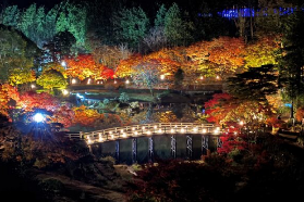 伊豆修善寺賞楓：2025 紅葉節限定活動實用攻略