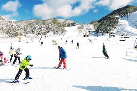春節假期去哪玩？拒絕擁擠！日本奧伊吹/玉原滑雪場私藏攻略