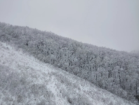 High1 滑雪度假村 2025/26雪季接駁車詳細時刻表