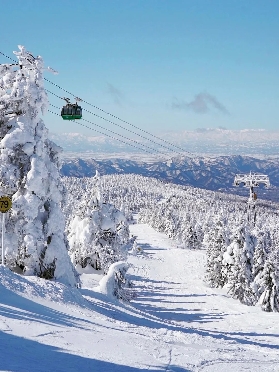 大明維瓦爾第滑雪場懶人一日遊：中文服務 + 夜間滑雪，新手也能沖