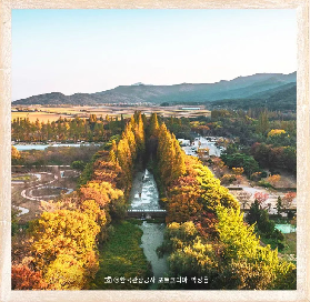 慶北千年森林庭院：藏在慶州的自然秘境，免費解鎖韓劇同款 「人生照」🌿