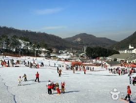 韓國芝山森林滑雪場雪道分布詳細解析｜不同水平滑雪者精準適配