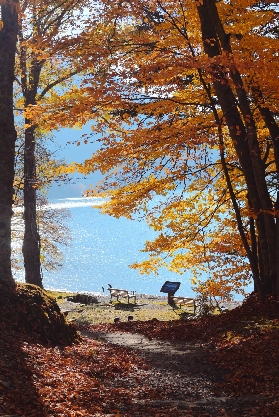 電車2h，私藏日本紅葉秘境！乘纜車看楓林瀑布，坐擁溫泉與湖畔下午茶！