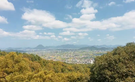 日本自由行！賞楓看海自由行攻略~