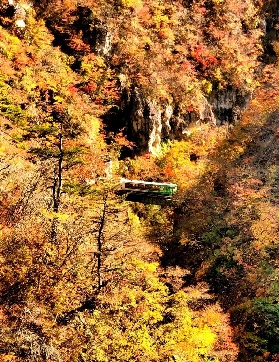 直飛3h，別再只去東京！紅葉列車、聖誕點燈，還能泡溫泉吃鮮牡蠣！