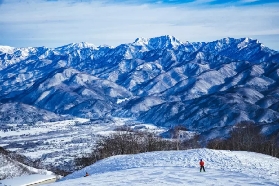 Able白馬五龍滑雪場：粉雪天堂，全家日本滑雪首選