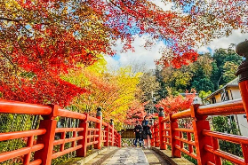 日本本地人推薦的伊豆賞楓路線：伊豆修善寺溫泉街漫步＋熱海梅園楓葉祭
