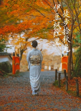 被《國家地理》點名推薦的伊豆，藏著日本本地人私藏的賞楓神仙地，人少景絕！（上）