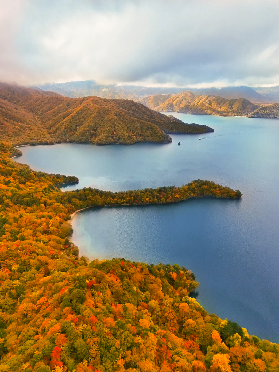 被《國家地理》點名推薦的伊豆，藏著日本本地人私藏的賞楓神仙地，人少景絕！（下）