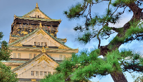 大阪城實測｜快速通關免排隊！30分鐘逛透日本三名城✨