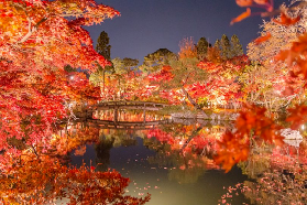 2025紅葉前線最新預報！日本六大賞楓秘境與專線推薦