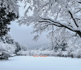 首爾冬日玩法天花板！4條寶藏線路，甜份、刺激、浪漫全承包