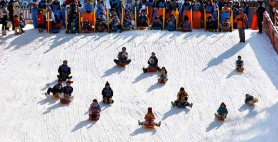 25-26芝山森林滑雪場雪道全解析：從初學到高手，挑戰你的雪感極限！
