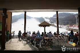 25-26芝山森林度假村滑雪・交通接駁+裝備租借+雪道推薦全解析