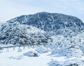 冬季濟州島日遊全攻略：擁抱溫暖陽光與銀白浪漫