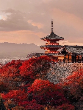 2025大阪/京都/奈良🍁紅葉時間！
