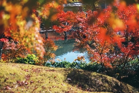 11-12月去日本旅遊秋季穿搭技巧與熱門路線盤點