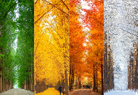 南怡島高空飛索必睇！預訂前5大避坑+交通指南✨