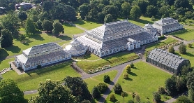 倫敦邱園門票實測｜預訂前必看3個避坑點✨