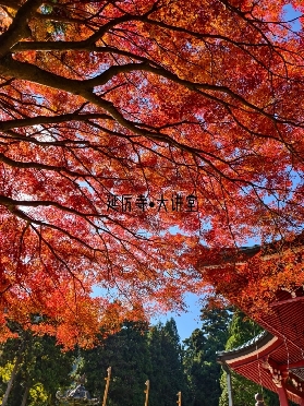 京都 11.15｜比叡山紅葉觀測圖直出