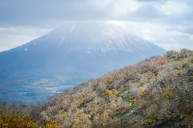 25年日本二世古初雪降臨！冬季即將來臨 | 新雪谷花園》