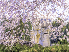 臺灣人遊北京圓明園｜必看景點+行程規劃幹貨💡
