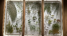 臺北臺博館實測！4大場館避坑指南+隱藏玩法✨