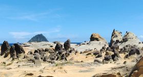 基隆和平島地質公園｜知性生態之旅全記錄+實用Tips🌱