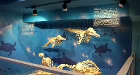 野柳海洋世界實測｜30年老牌館居然藏這些驚喜？避坑看這篇✨