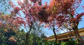 陽明山福田園超抵！門票+飲品套票，踩水打卡全攻略✅