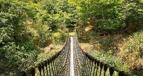 陽明山福田園實測！門票CP值爆高，踩水+紅楓隧道超讚✨