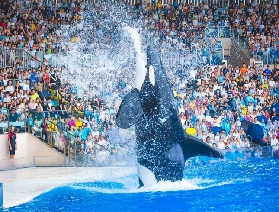 上海海昌海洋公園門票