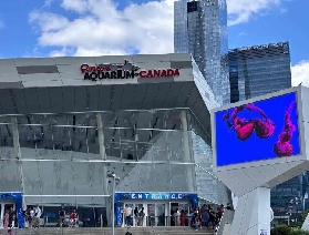 多倫多瑞普利水族館(Ripley's Aquarium of Canada)