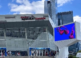 多倫多水族館實測｜預訂前必看！3歲以下免費+避坑貼士✨