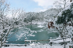 飛驒之里根本不是白川鄉平替！是高山雪景天花板！