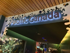 溫哥華水族館實測！預訂前必睇3個隱藏貼士✨