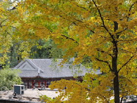 北京恭王府保姆級總結｜3天後回顧最實用的5個建議📝