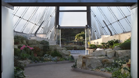 倫敦邱園終極指南：走進世界遺產級的植物王國