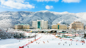 首爾冬日玩雪全攻略：四大主題玩法深度體驗