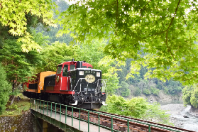 嵐山小火車夏季｜開放車廂避暑攻略